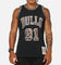 Mitchell & Ness Chicago Bulls Dennis Rodman 'Leopard' Swing Jersey Black/Leopard