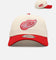 New Era Detroit Red Wings 'Team Color Visor' 9FORTY A-Frame Snapback Chrome/Official Team Color