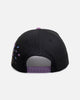 New Era Los Angeles Lakers 'Jacaranda' 9FORTY A-Frame Snapback Pastel Purple