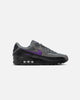 Nike Air Max 90 Iron Grey