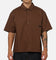 Carre Signature Rose Button Up Shirt Brown Pinstripe