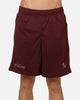 Saint Morta Athltc S4 Mesh Shorts Port