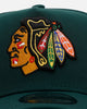 New Era Chicago Blackhawks 'Evergreen' 9FORTY A-Frame Snapback Dark Green