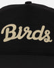 Birds Of Condor Birds Snapback Black