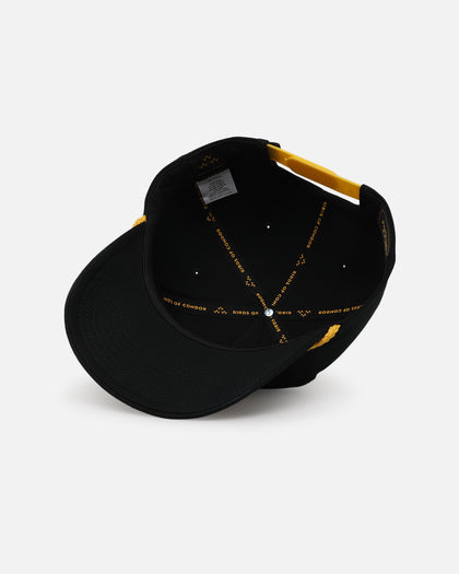 Bird Of Condor Tijuana Snapback Black