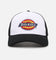 Dickies Classic Logo Trucker Snapback Black