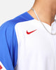 Nike Atlanta Braves Limited Jersey OTC