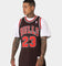 Mitchell & Ness Chicago Bulls Michael Jordan '95-'96 #23 Authentic Jersey Black