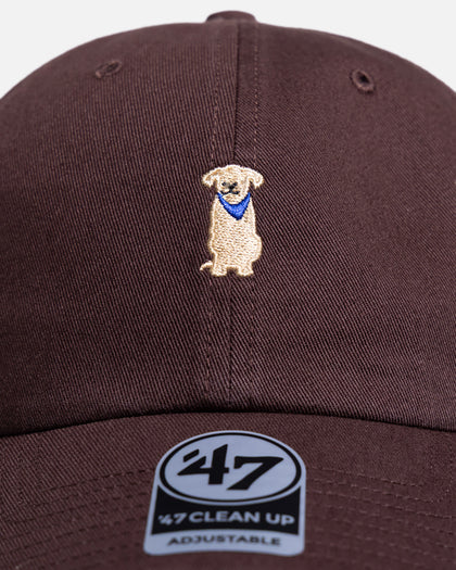 47 Brand Labrador Retriever Icon 47 Clean Up Strapback Brown