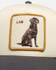 Goorin Bros Shadow Lab Trucker Snapback White