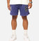 Saint Morta La Rambla Basketball Shorts Purple