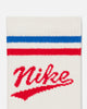 Nike Everyday Plus Crew Socks (3 Pair) Multi