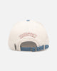 Pro Standard Houston Astros 'Tapestry' Pinch Front Strapback Natural