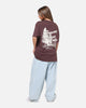 Tommy Jeans Relax Novelty T-Shirt Brown