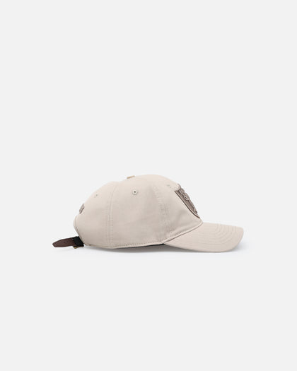 Pro Standard Las Vegas Raiders Dad Hat Strapback Taupe