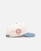 Pro Standard Houston Astros 'Tapestry' Pinch Front Strapback Natural