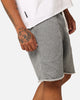 AS Colour Fleece Shorts Steel