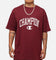 Champion Rochester Graphic T-Shirt Red