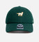 47 Brand Golden Retriever Wool 47 Clean Up Strapback Green