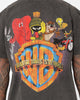 73Studio X Warner Bros. Marvin The Martian Vintage Heavyweight T-Shirt Black Wash