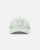 Pro Standard Las Vegas Raiders Dad Hat Strapback Moss