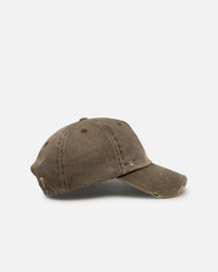 American Thrift Daily Driver Snapback Coyote