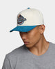 Mitchell & Ness Detroit Pistons Pro Crown Snapback Off White/Teal