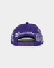 Mitchell & Ness Toronto Raptors 'Highway' Pro Crown Snapback Purple