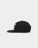 HUF 20th Anniversary Snapback Black