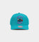 Mitchell & Ness Charlotte Hornets 'Wool Blend' Snapback Teal