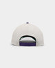 New Era River City Rumblers 'Batter Up' 9FORTY A-Frame Snapback Stone