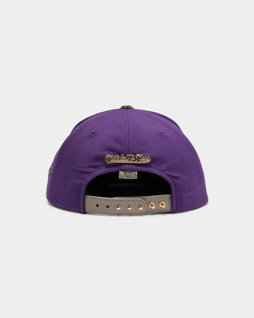 Mitchell & Ness Toronto Raptors Lux Carp Script HWC Snapback Purple/Grey