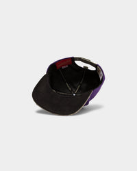 Mitchell & Ness Toronto Raptors Lux Carp Script HWC Snapback Purple/Grey