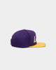 Mitchell & Ness Los Angeles Lakers Lux Carp Script Snapback Purple/ Yellow