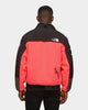 Supreme The North Face RTG Fleece Jacket Red