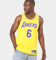 Nike Los Angeles Lakers LeBron James 75th Anniversary #6 Icon Swingman Jersey Amarillo/Field