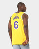 Nike Los Angeles Lakers LeBron James 75th Anniversary #6 Icon Swingman Jersey Amarillo/Field