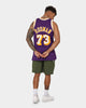 Mitchell & Ness Los Angeles Lakers Dennis Rodman #73 '98-'99 Road Swingman Jersey Purple