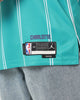 Jordan Charlotte Hornets LaMelo Ball #1 Icon Swingman 22/23 Jersey Rapid Teal