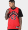 Nike Toronto Raptors Pascal Siakam #43 Dri-FIT NBA Swingman Jersey University Red