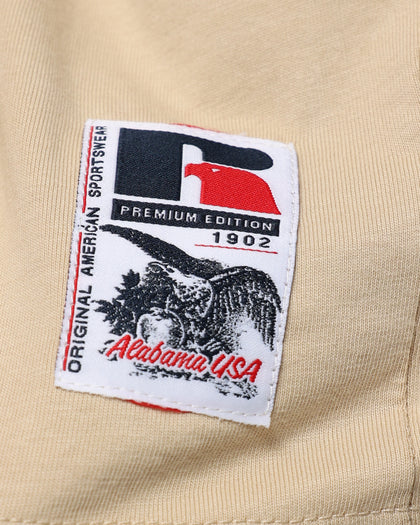 Russell Athletic Oversized T-Shirt Stone