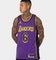 Jordan LeBron James Los Angeles Lakers #6 Statement Edition Jordan Dri-FIT NBA Swingman Jersey Field Purple