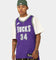Nike Giannis Antetokounmpo Milwaukee Bucks Nike Dri-FIT NBA Swingman Jersey Field Purple