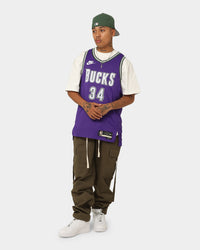 Nike Giannis Antetokounmpo Milwaukee Bucks Nike Dri-FIT NBA Swingman Jersey Field Purple