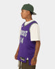 Nike Giannis Antetokounmpo Milwaukee Bucks Nike Dri-FIT NBA Swingman Jersey Field Purple