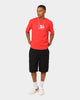 Champion Heritage USA Small Logo T-Shirt Red Spark Csi