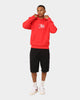 Champion Reverse Weave USA Hoodie Red Spark Csi
