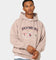 Tommy Jeans TJM Skater TJ Luxe Hoodie Brandons Stone