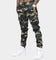 Saint Morta Annex Camo Joggers Woodland Camo