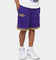 Nike Los Angeles Lakers Courtside Nike Dri-FIT NBA Shorts Field Purple